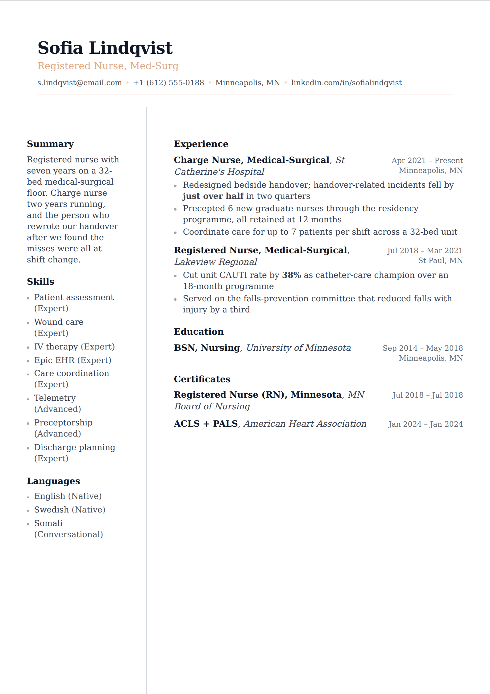 Blush resume and CV template