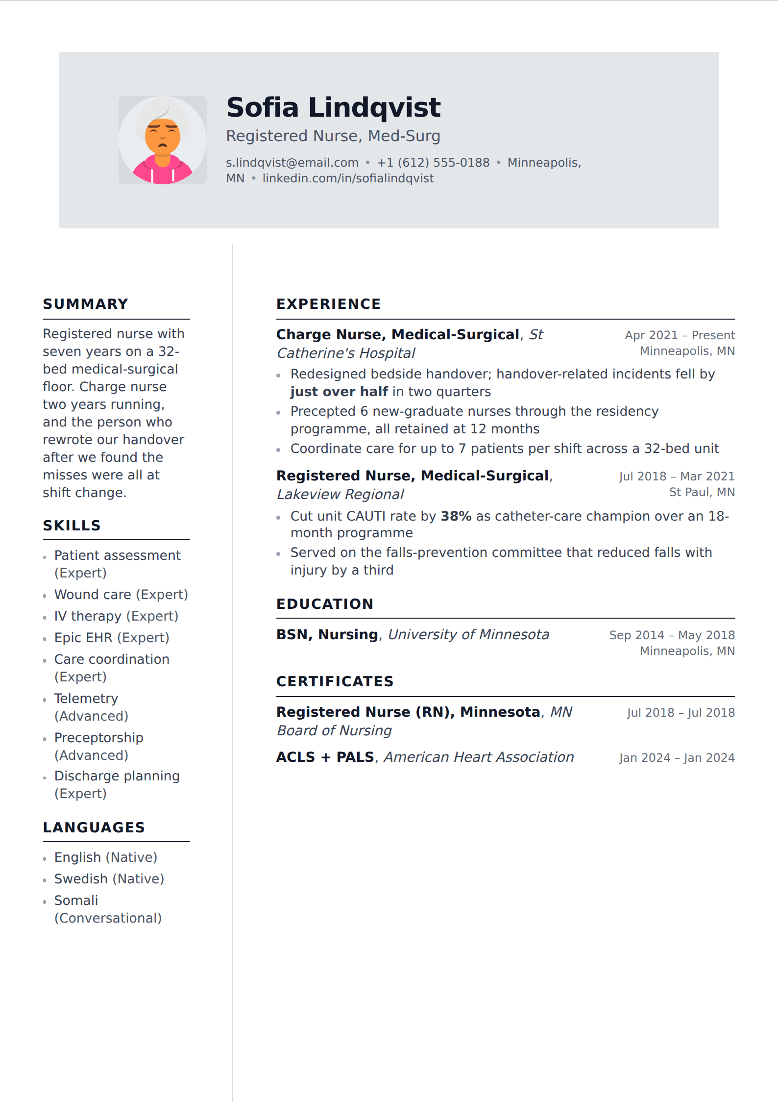 Insignia resume and CV template