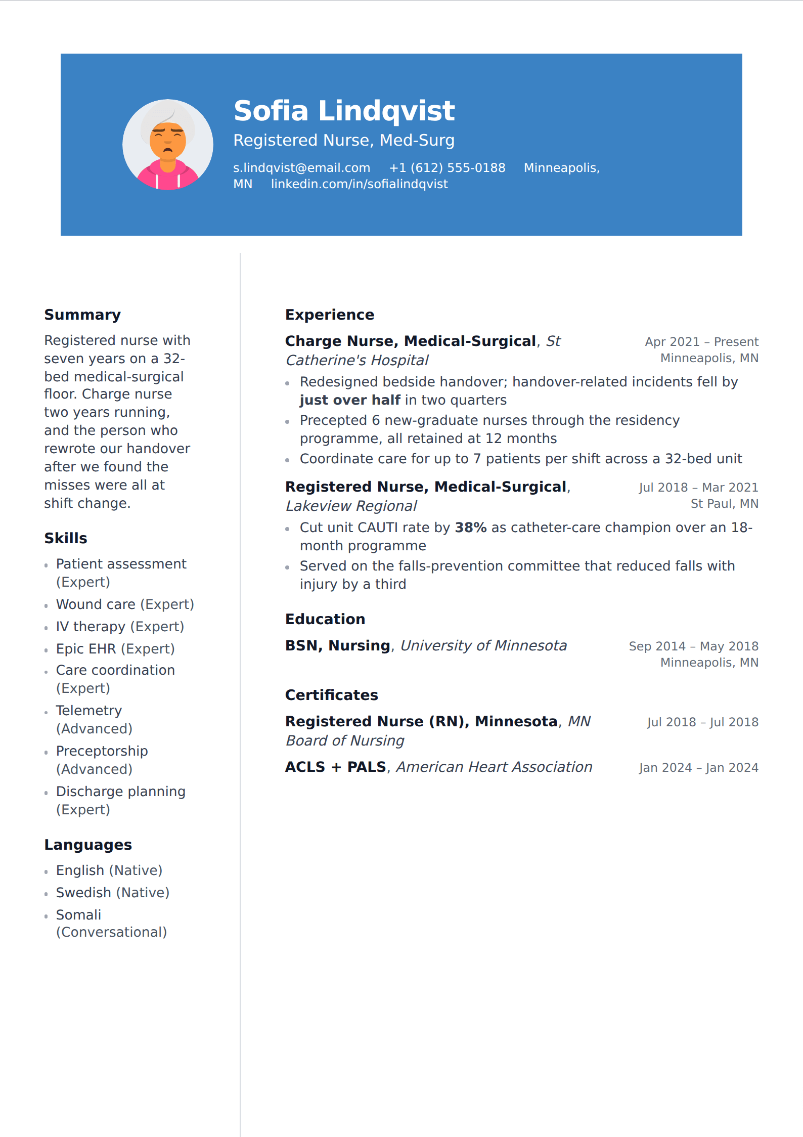 Kingfisher resume and CV template